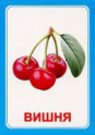 Логопедические карточки и картинки для развития речи - «globural.ru» - Улан-Удэ
