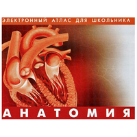 Анатомия. (Цифровой атлас школьника) - «globural.ru» - Улан-Удэ