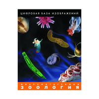 Зоология. Микрофотографии. (Цифровая база изображений) - «globural.ru» - Улан-Удэ