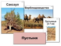 Модель-аппликация "Природные зоны России" - «globural.ru» - Улан-Удэ