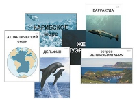 Модель-аппликация "Океаны. Знакомство" (ламинированная) - «globural.ru» - Улан-Удэ