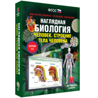 Наглядная биология. Человек. Строение тела человека - «globural.ru» - Улан-Удэ