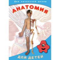 DVD  Анатомия для детей - «globural.ru» - Улан-Удэ