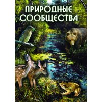 DVD Природные сообщества - «globural.ru» - Улан-Удэ