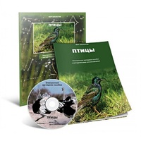 Электронное наглядное пособие «Птицы» - «globural.ru» - Улан-Удэ