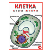 DVD Клетка - "атом жизни" - «globural.ru» - Улан-Удэ