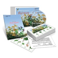 Комбинированное наглядное пособие «Растения» - «globural.ru» - Улан-Удэ