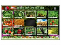 Комплект оборудования "Живой уголок" (растения) - «globural.ru» - Улан-Удэ