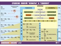 Таблица демонстрационная "Сравнение понятий изомер и гомолог" (винил 100х140) - «globural.ru» - Улан-Удэ