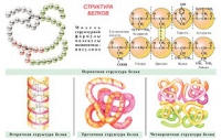 Плакаты и таблицы по общей химии - «globural.ru» - Улан-Удэ
