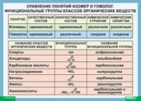 Химия. Сравнение понятий изомер и гомолог. Функциональные группы классов органических веществ (винил) - «globural.ru» - Улан-Удэ