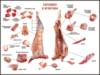 Правила разделки мясных туш "Баранина и ягнятина" 1000*1400 винил - «globural.ru» - Улан-Удэ