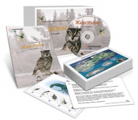 Комбинированное наглядное пособие «Животные» - «globural.ru» - Улан-Удэ