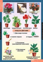 Окружающий мир 1 класс (комплект таблиц) - «globural.ru» - Улан-Удэ