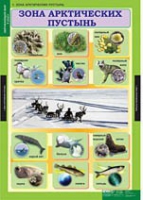 Окружающий мир 4 класс (комплект таблиц) - «globural.ru» - Улан-Удэ