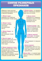 Стенд "Снятие мерок" (вариант 2) - «globural.ru» - Улан-Удэ