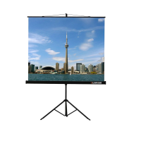 Проекционный экран на штативе Lumien Eco View (LEV-100105) 160x160 см - «globural.ru» - Улан-Удэ