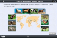 Интерактивные курсы. Биология 7 класс. Расширенный - «globural.ru» - Улан-Удэ