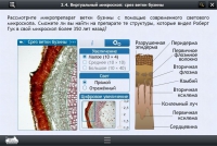 Интерактивные курсы. Биология 5 класс. Расширенный - «globural.ru» - Улан-Удэ