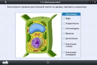 Интерактивные курсы. Биология 9 класс. Расширенный - «globural.ru» - Улан-Удэ