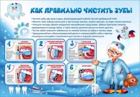 Стенд "Как правильно чистить зубы" - «globural.ru» - Улан-Удэ