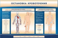 Электрифицированный стенд-тренажер "Остановка кровотечения" - «globural.ru» - Улан-Удэ