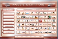 Трехсекционный базовый комплект "Травмы. Кровотечения. Ожоги" для учащихся общеобразовательных учреждений - «globural.ru» - Улан-Удэ
