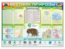 Стенд-уголок "Вестник природы" (вариант 1) - «globural.ru» - Улан-Удэ