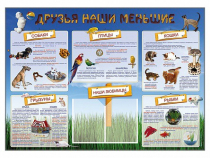 Стенд-уголок "Друзья наши меньшие" - «globural.ru» - Улан-Удэ