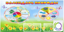 Стенд "Календарь природы" (вариант 2) - «globural.ru» - Улан-Удэ