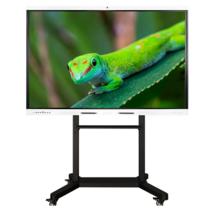 Интерактивный комплекс Geckotouch ​​​​​​​75RK - «globural.ru» - Улан-Удэ