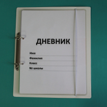Дневник школьника (с полным набором карточек) - «globural.ru» - Улан-Удэ