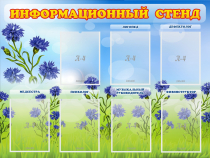 Стенд информационный с 7 карманами - «globural.ru» - Улан-Удэ