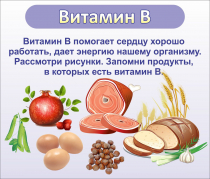 Стенд "Витамин В" - «globural.ru» - Улан-Удэ