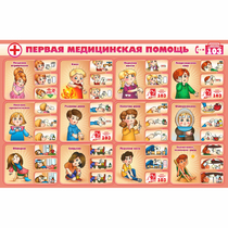 Стенд "Первая помощь" - «globural.ru» - Улан-Удэ