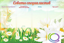 Стенд "Советы специалистов" - «globural.ru» - Улан-Удэ