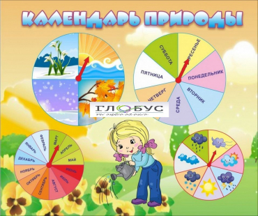 Стенд "Календарь природы" (вариант 1) - «globural.ru» - Улан-Удэ